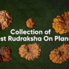 rudraksha shope near me