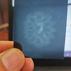 13 FACE FACE THIRTEN SEDDS THIRTEN MUKHI