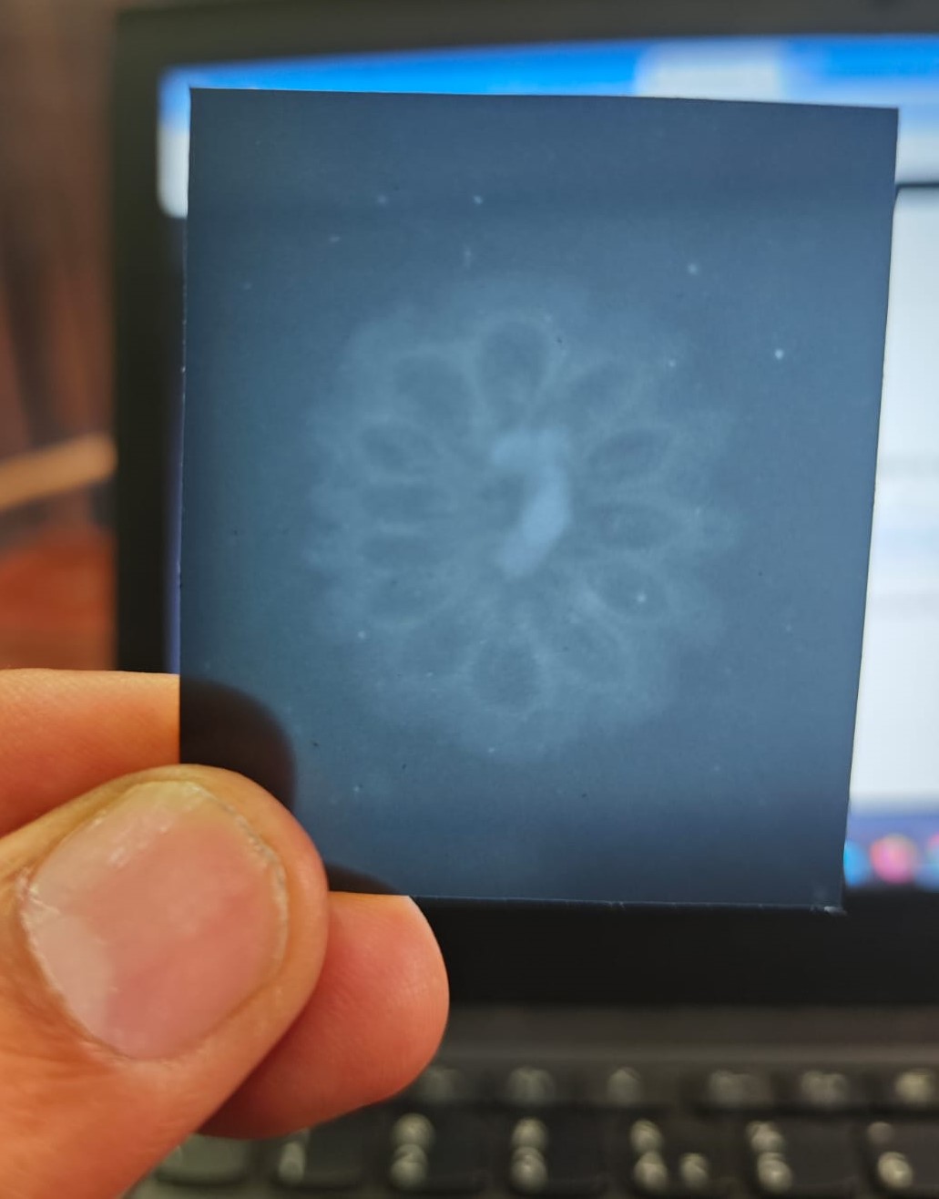 13 FACE FACE THIRTEN SEDDS THIRTEN MUKHI