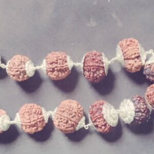 rudraksha siddha mala